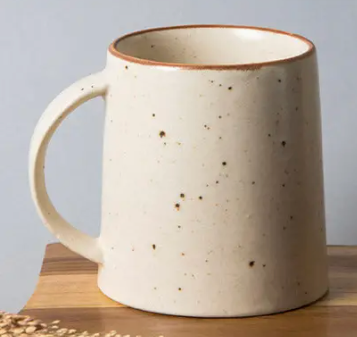 Offwhite Rann Mug | Handpainted Stoneware | 350ml